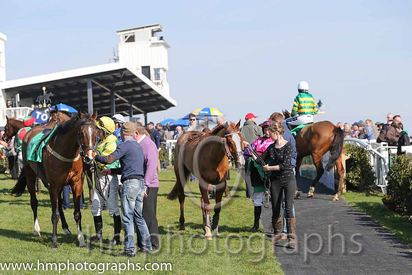 01st - Salsa Sensation (07)  R Walsh < Trainer : T M Walsh  orange and green hoops entering the parade ring at Downpatrick