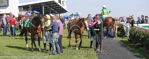 01st - Salsa Sensation (07)  R Walsh < Trainer : T M Walsh  orange and green hoops entering the parade ring at Downpatrick
