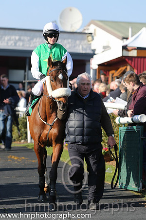 10th PU - More Madness (05)  P Townend  Trainer : T O'Brien  green, yellow star
