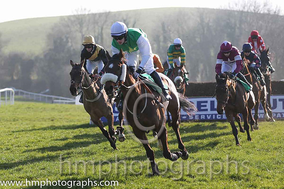 10th PU - More Madness (05)  P Townend  Trainer : T O'Brien  green, yellow star