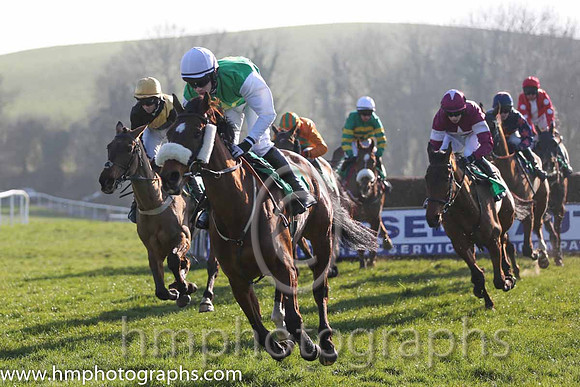 10th PU - More Madness (05)  P Townend  Trainer : T O'Brien  green, yellow star