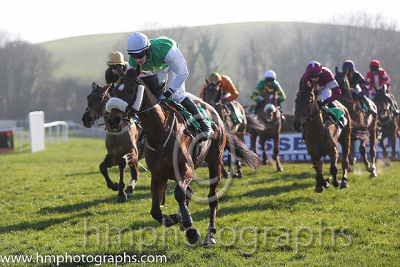 10th PU - More Madness (05)  P Townend  Trainer : T O'Brien  green, yellow star