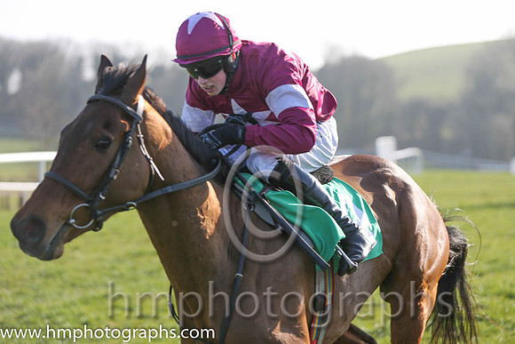 09th PU - Allied Victory (04)  B J Cooper  Trainer : M F Morris  maroon, white star