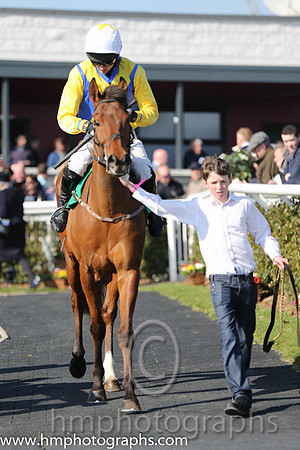 06th - Idlewild(04)  D R Fox (3)  Trainer : M M McNiff  blue, yellow sashes
