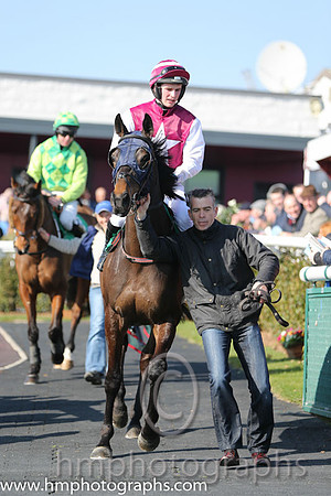 03rd - Sir Ector (USA) (08)  D E Mullins  Trainer : J J Lambe  maroon, white star,white sleeves
