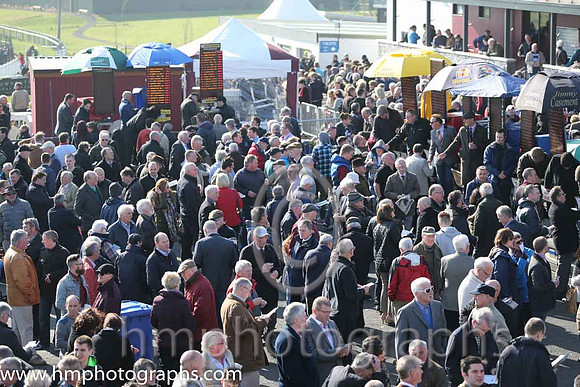 Toals Bookmakers Ulster National Race day at Downpatrick
