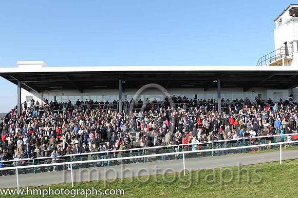 Toals Bookmakers Ulster National Race day at Downpatrick