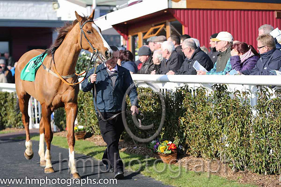 Parade ring at Downpatrick