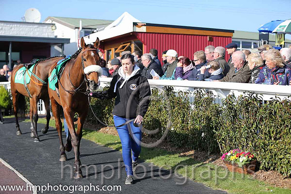 Parade ring at Downpatrick