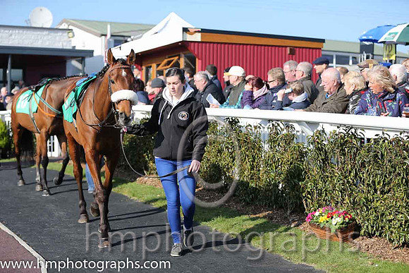Parade ring at Downpatrick