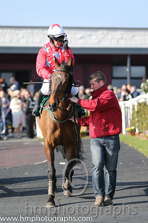 015th PU - Paddy O Dee(09)  P Townend  Trainer : P J Rothwell  red, light blue stars