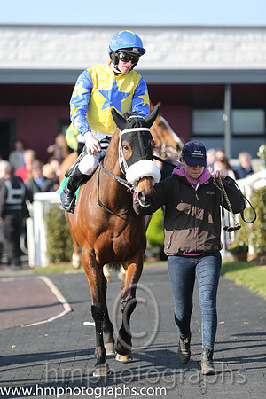 12th - Tamam Namoose (15)  D E Mullins  Trainer : A Maguire  yellow, blue star