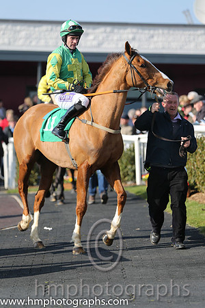 10th - Couleur De La Loi (11)  B T O'Connell  Trainer : Michael G Cleary  green, yellow cross