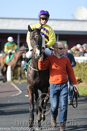 08th - Glenconkeyne (02)  P Carberry  Trainer : N C Kelly  yellow, maroon chevrons