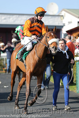 04th - Scarlet Prince(05)  A E Lynch  Trainer : T G McCourt  aubergene and light aubergene chevrons