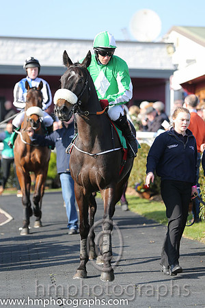 06th - Champione (06)  D J Condon  Trainer : G Elliott  green, white diamond