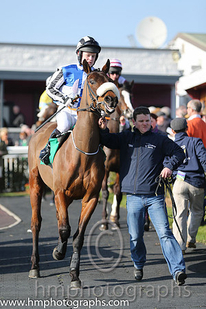 11th - Mustadrik (USA) (16)  L P Dempsey (5)  Trainer : G Elliott  blue and white chevrons