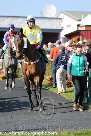05th - Leish Oscar (04)  R C Colgan  Trainer : N McKnight  yellow, light blue star