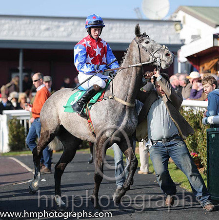 14th U - King's Wharf (03)  D Robinson (7)  Trainer : L Smyth  red, white stars