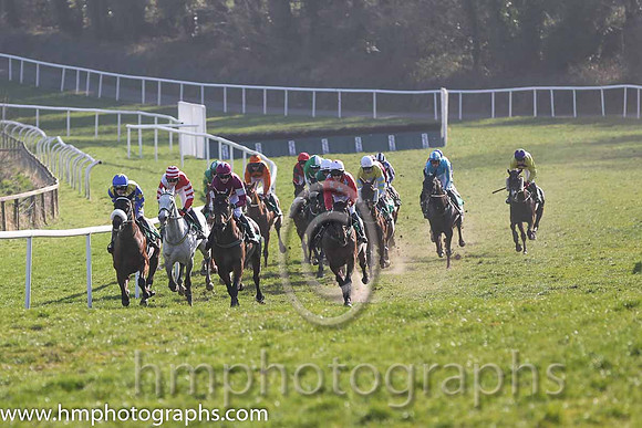 15th PU - Paddy O Dee(09)  P Townend  Trainer : P J Rothwell  red, light blue stars