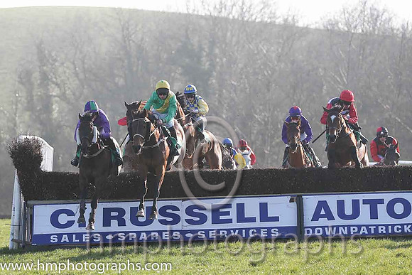 06th - Preswell Lad (05)  M P Butler  Trainer : M Butler  green, yellow sash