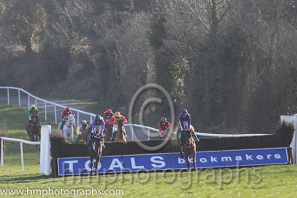 05th - Halls Bridge (04)  S G McDermott  Trainer : S K Ryder  purple, green cross  02nd - Ardmillan (01)  A J Fox (7)  Trainer : S R B Crawford  purple, red star