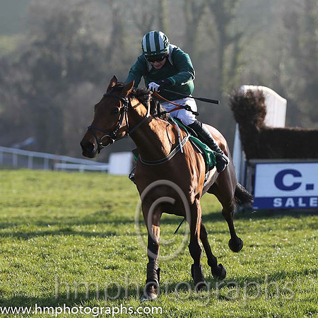 02nd - Cadawill (02)  Mr K E Power  Trainer : R Sweeney  green, grey epaulettes