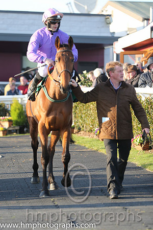 05th - Gentleman Moore (03)  Mr S Crawford  Trainer : A Mullins  mauve