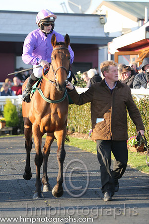 05th - Gentleman Moore (03)  Mr S Crawford  Trainer : A Mullins  mauve