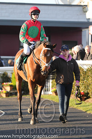 01st - Celldomfed (02)  Mr F Maguire (7)  Trainer : A Maguire  red, green spot