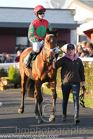 01st - Celldomfed (02)  Mr F Maguire (7)  Trainer : A Maguire  red, green spot