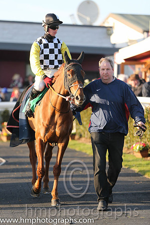 02nd - Lip Service (05)  D Meyler (7)  Trainer : A J Martin  black and yellow check