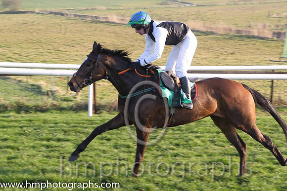 07th - Easy To Find (06)  Mr J F O'Meara (5)  Trainer : Denis Hogan  black, white chevron