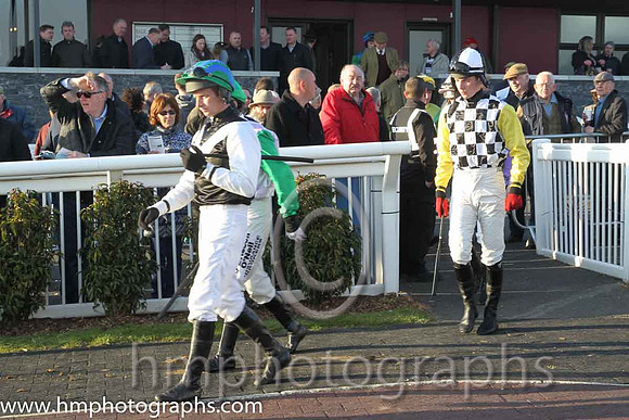 07th - Easy To Find (06)  Mr J F O'Meara (5)  Trainer : Denis Hogan  black, white chevron  02nd - Lip Service (05)  D Meyler (7)  Trainer : A J Martin  purple and yellow check