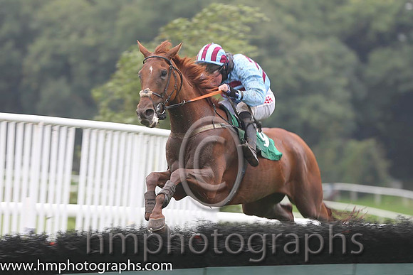01 Hero De Villeneuve &amp; A E Lynch - Winner(9,blue &amp; maroon hoops)