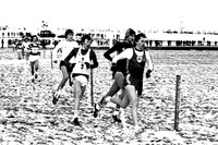 IMG_0010-e3a