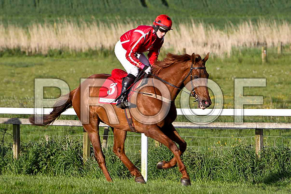 Jamadiel , 6th, Jockey Mr J J Slevin - FT8E3069-e