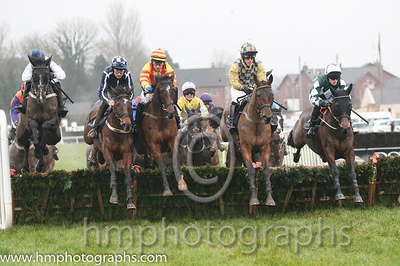 08 Sultana Belle and Anthony Fox - - 08th (8 ,dark blue, white seams ) Trainer - S R B Crawford