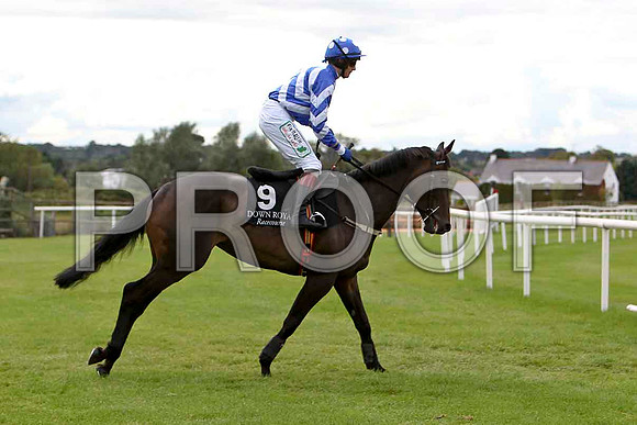 Allyonice , Jockey P Townend  - CU2D1991-e