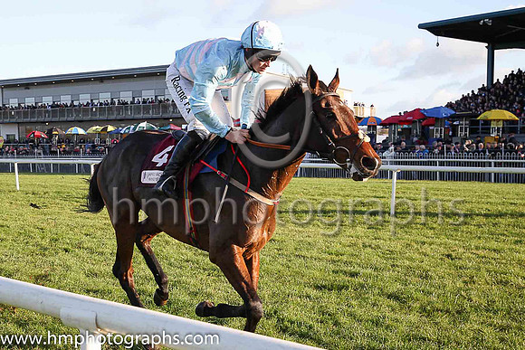 04th Sadler?s Risk and D J Mullins ( 4 , light blue, pink chevrons ) Trainer - H de Bromhead , Owner - R S Brookhouse
