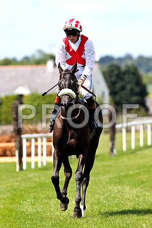 Ferocious Fran , Jockey C D Hayes , 3rd - FT8E1227-e