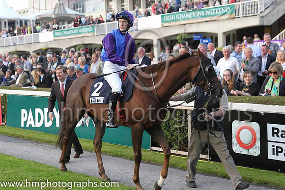 03 Bold Thady Quill and W J Lee - - 03rd (2 ,royal blue and purple halved ) Trainer - K J Condon