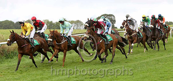 Brer Rabbit , Jockey S E Butler in the lead - Fell- CU2D2251-e