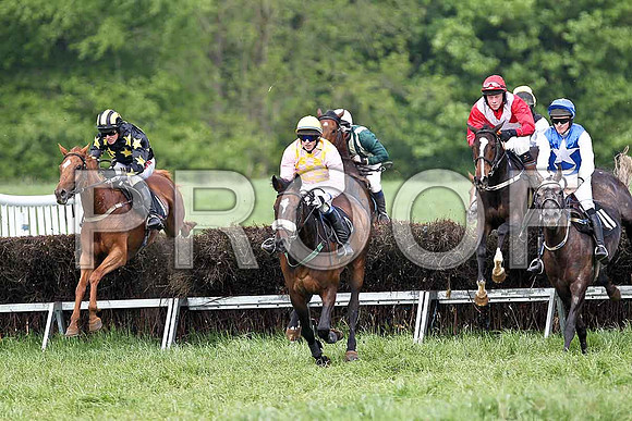 Fifth Race Div 1 - Hairy Nostrils (1) PU, Rider B O'Neill, Lady Shirley (6) 3rd, Rider B G Crawford, Hunters Frontier (27) 7th, Rider B F Brabazon, Carlinty (16) Winner, Rider W Thompson  - FT8E0381-e