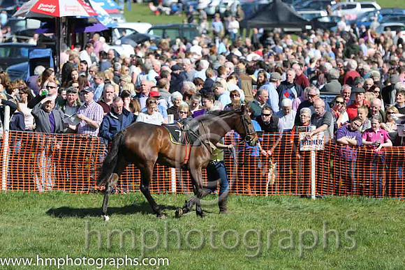 Large crowds at East Antrim Pounds P2P at Loughanmore on Easter Monday 2015