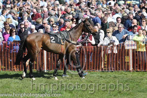 Large crowds at East Antrim Pounds P2P at Loughanmore on Easter Monday 2015