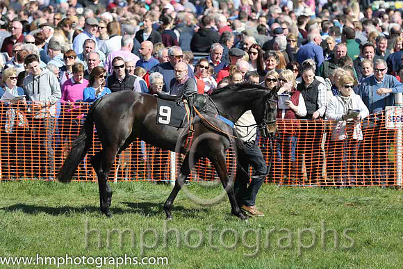 Large crowds at East Antrim Pounds P2P at Loughanmore on Easter Monday 2015