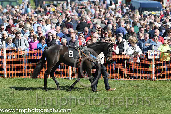 Large crowds at East Antrim Pounds P2P at Loughanmore on Easter Monday 2015