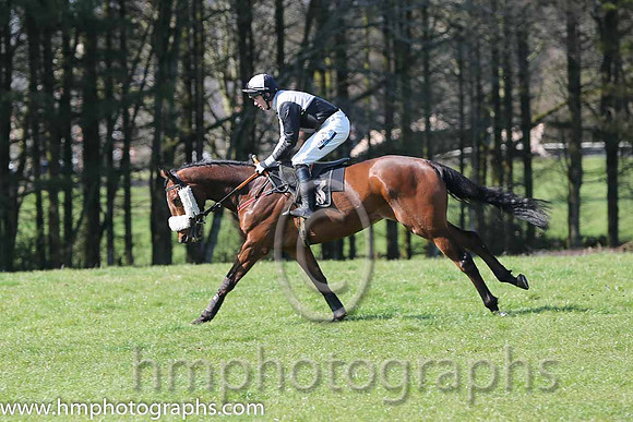 01st - A Plein Temps (3)  Derek O'Connor - Trainer: Colin S McKeever - black  white qrtd