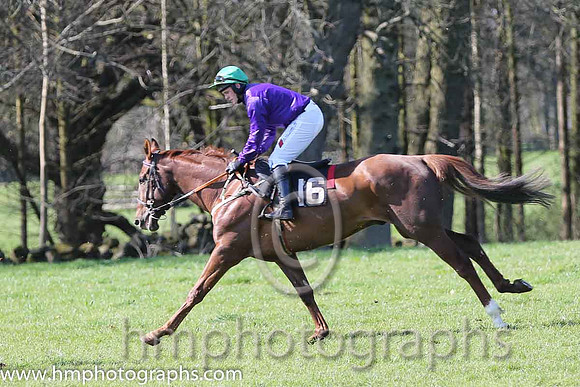 02nd - Jardin Des Plantes (16)  R James - Trainer: Colin Bowe - purple